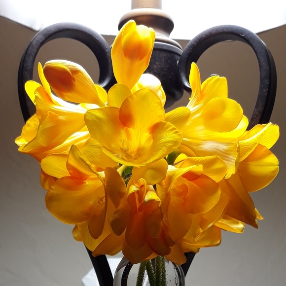 💢 WELCOME TO  MY CLOSET 💢 - Picture 7 of 11